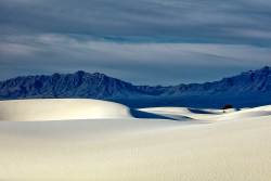 White Sands 4.jpg